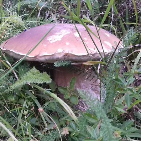 Zakyl Vendégház 3*