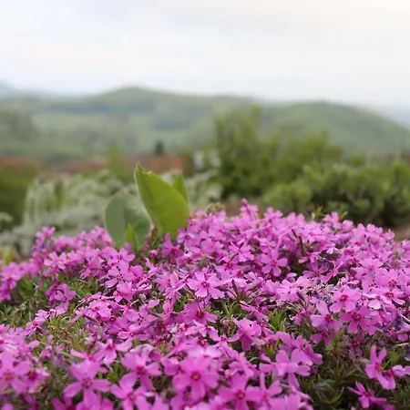 Zakyl Vendégház 3*